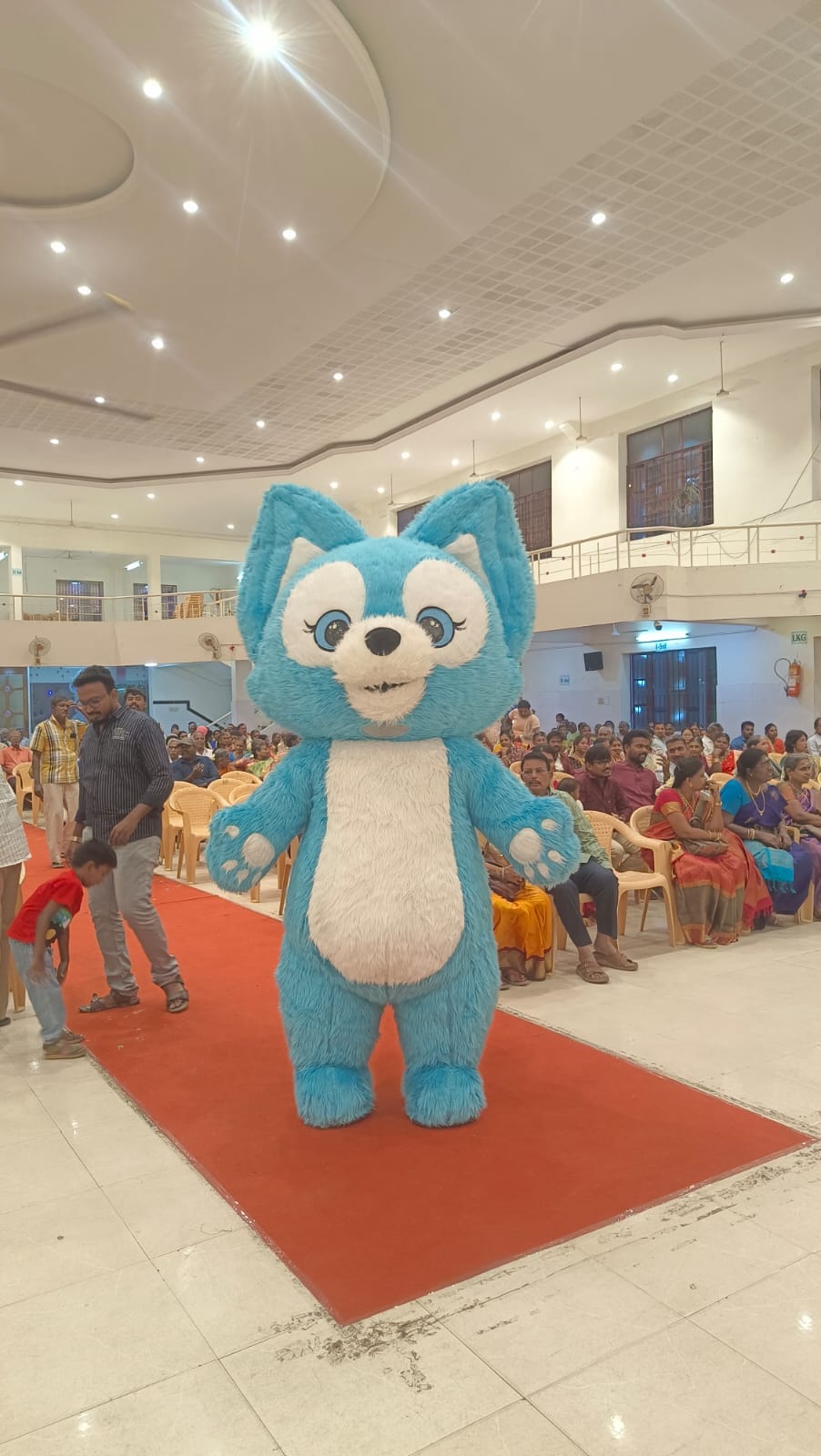 Entertainment event showcase